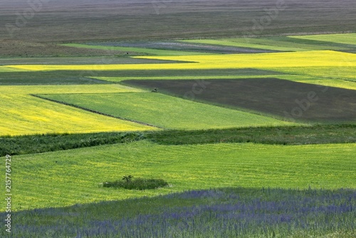 Monti Sibillini Nationalpark, Italien, im Frühling