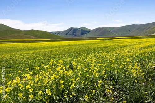 Monti Sibillini Nationalpark, Italien, im Frühling