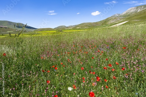 Monti Sibillini Nationalpark, Italien, im Frühling