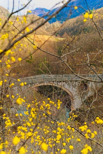 Quadro su tela Sarajevo, Bosnia and Herzegovina - March 15 2026: Vertical view of Kozija Cuprija stone bridge surrounded by yellow spring blooms with mountains in background