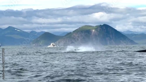Dramatic coastal view with choppy blue waters and distant snow-capped mountains under a cloudy sky, whales breaching the surface, rugged seascape, adventurous spirit, nature grandeur.