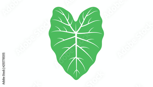 Isolated single vibrant green elephant ear leaf with detailed white veins on clean white background.