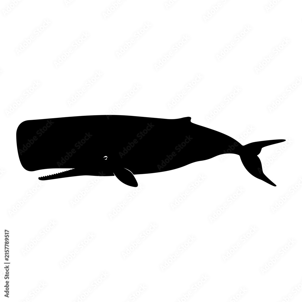 Obraz premium Silhouette of a sperm whale swimming in deep blue ocean waters for marine life designs