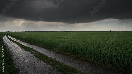 Wide landscape shot of a lush agricultural field during heavy rain with wet muddy paths and dramatic storm clouds overhead
