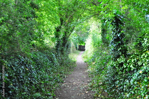 Town park in Killorglin, Ireland