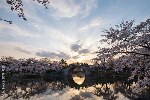 Stone bridge over water with blossoming cherry trees during a sunset scenic photograph