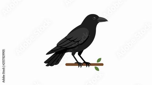 Majestic Black Raven or Crow Bird Standing on a Small Branch with Green Leaves Isolated on White Background