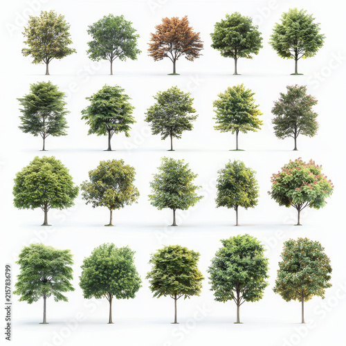 A grid of diverse trees with green, brown, yellow, and flowering foliage against a white background