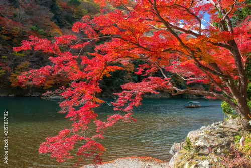 tourists in punting boat along river view colorful autumn leaf, Arashiyama