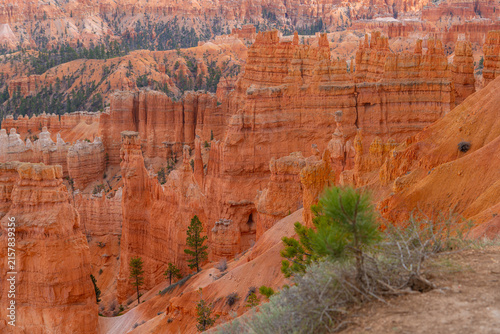 Fotografie Bryce Canyon National Park, Utah,USA