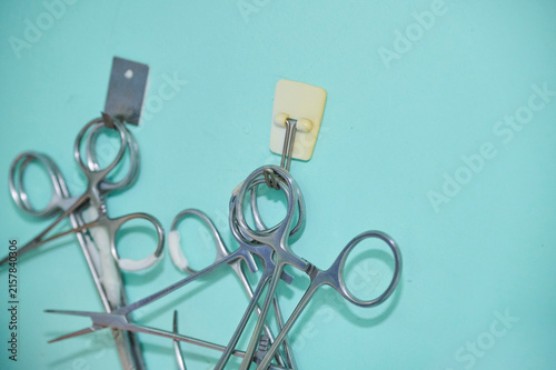 Fotografía several metal veterinary surgical forceps hanging on a mint-colored wall