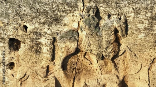Madara Rider UNESCO World Heritage site medieval rock relief horseman hunting dog Thracian Bulgarian history ancient stone carving close up travel Bulgaria