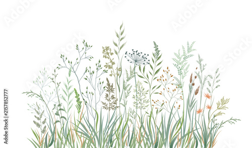 Flourish Branch with leaves, grass, flowers gentle meadow background. Floral nature summer garden stylish hand drawn wallpaper