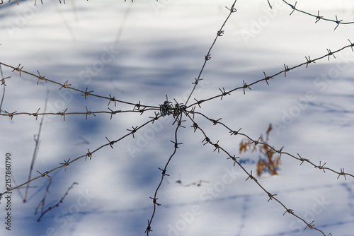 Foto Sharp barbed wire intertwined against a pristine snowy backdrop evokes a hauntin