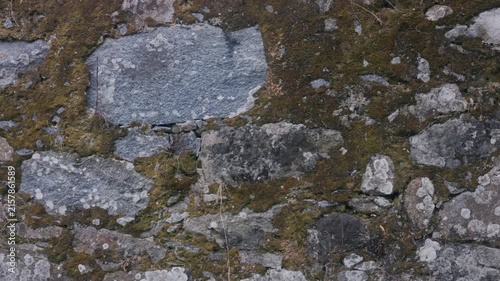 Close up of a stone wall covered in green moss