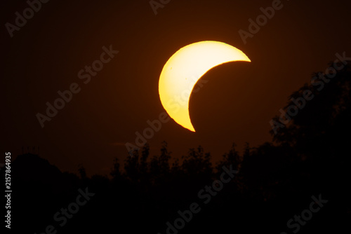 Solar eclipse occurring with a partial view of the sun above the horizon and silhouetted trees in the foreground