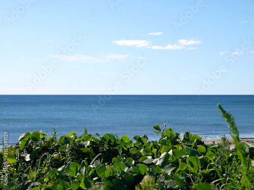 夏の穏やかな海、日本海の景色