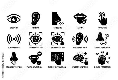 Photography Sensory glyph vector icon set with five senses and human perception symbols