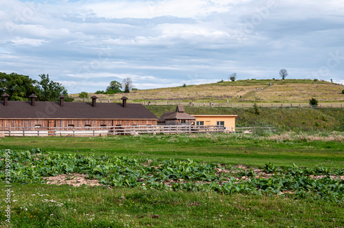 Kamenka village, Zadonsky district, Lipetsk region, Russia, July 12, 2026: Wooden buildings of the Kudykina Gora nature park among the hills