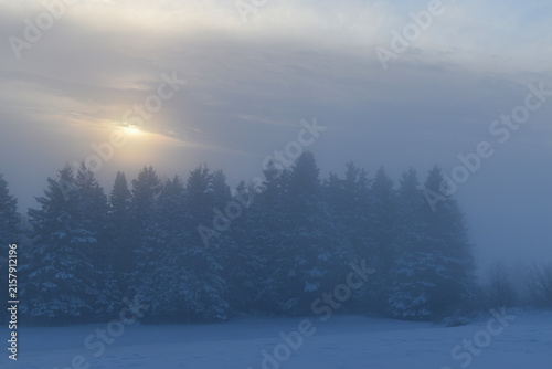 A fog on a cold morning, Sainte-Apolline, Québec, Canada