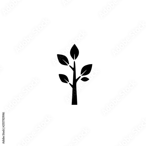 Young Plant Nature Element