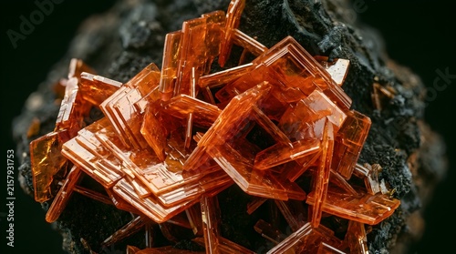 Wulfenite crystal specimen, orange tabular mineral clusters on dark matrix rock, macro geological photography
