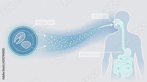 Tapety artystyczne Seafood consumption pathway for microplastic exposure