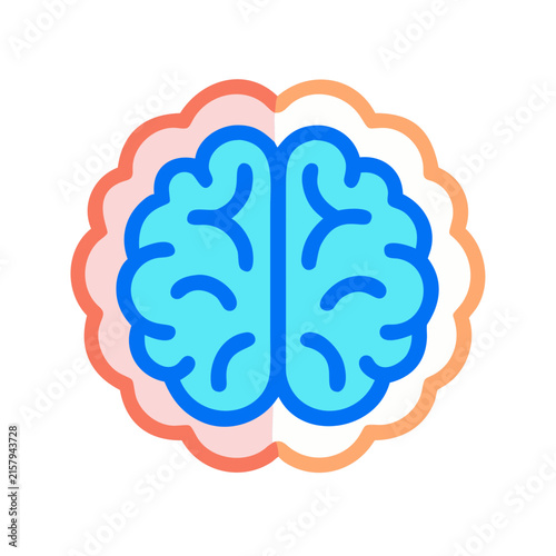 The brain in a bright color scheme.