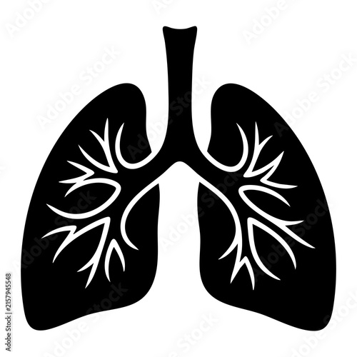Vector silhouette of lungs