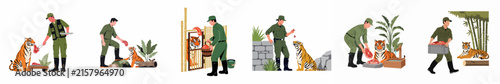 A series of illustrations showing a zookeeper caring for, feeding, and interacting with tigers in various zoo and enclosure settings.