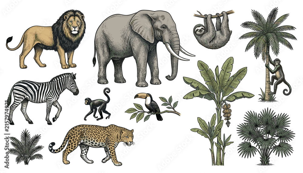 Naklejka premium Vintage Linocut Safari Animals and Tropical Trees Vector Set with Lion, Elephant, Leopard, Zebra, Monkey, Sloth, and Toucan for Nature Illustrations