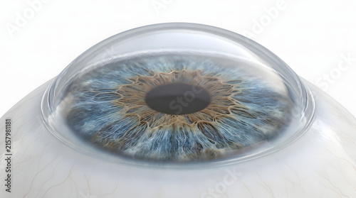 Close-up of a detailed human eye with iris texture
