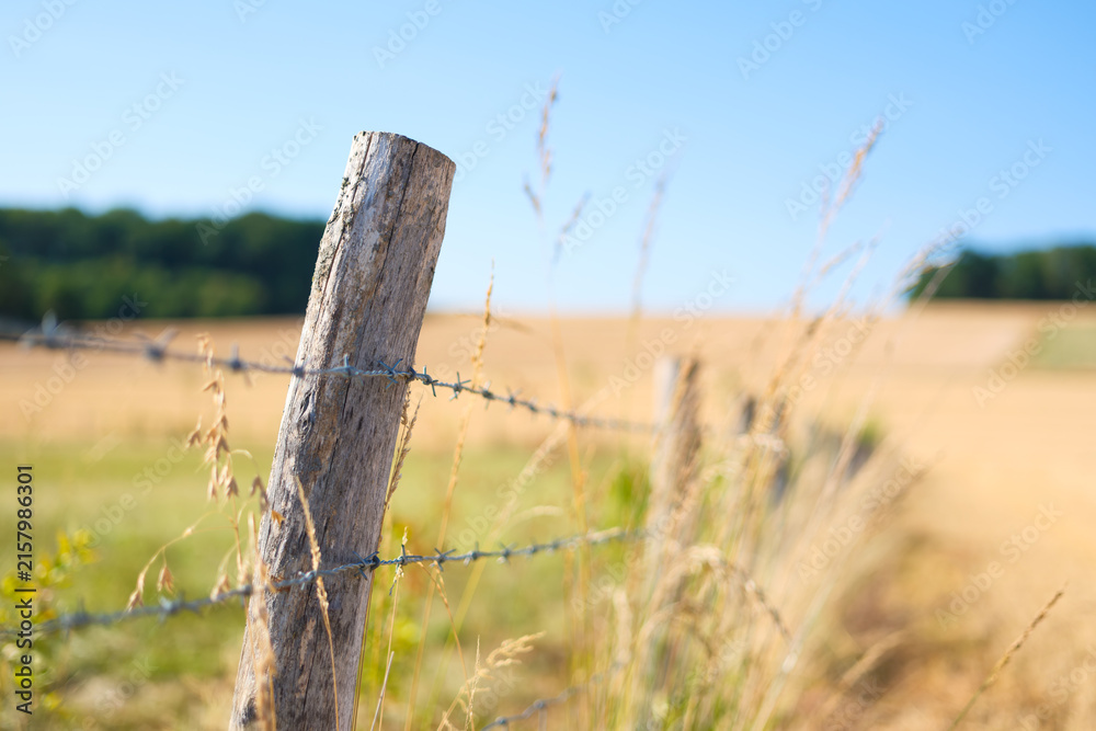 Naklejka premium Wooden fence with barbed wire for livestock protection on a farm. Summer countryside landscape with blurred fields and meadows.