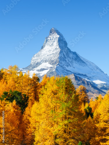 Foto Matterhorn mountain peak rising above a colorful autumn forest in Zermatt, Switzerland on a bright sunny day