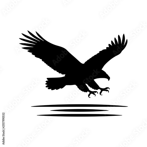Obraz na płótnie eagle in flight