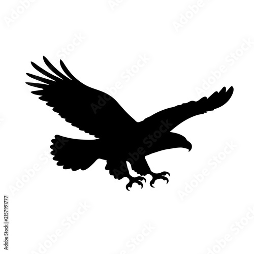 Obraz na płótnie Flying Bald Eagle Silhouette, Powerful American Eagle in Flight, Wildlife Symbol