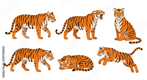 Tiger Poses Vector Illustration Set