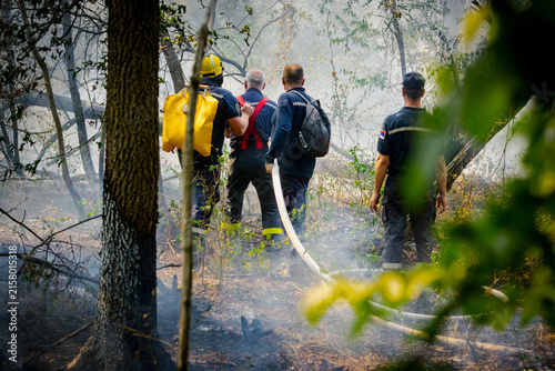 Firefighters spray water, they try extinguish a forest fire