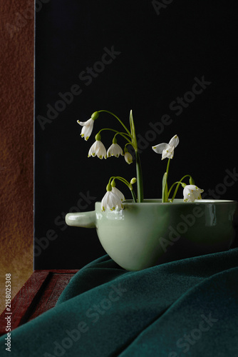 white flowers in a pot, still life on a dark background