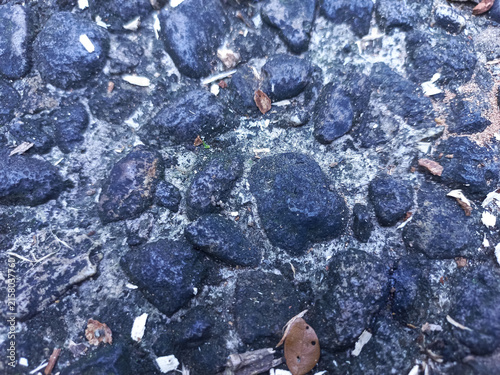 Fotografía Close-up macro texture of rough aggregate asphalt surface with embedded dark stones and organic debris