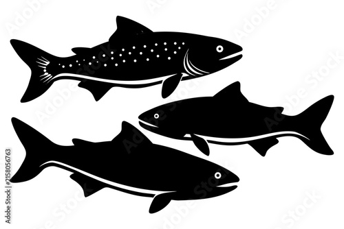 Salmon trout silhouette vector, freshwater fish vector illustration, fish icon black symbol