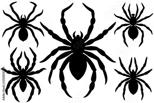 spider insect collection vector illustration, spider icon black symbol