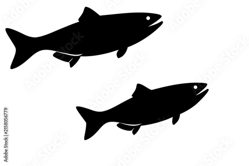 Salmon trout silhouette vector, freshwater fish vector illustration, fish icon black symbol
