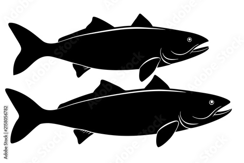 Salmon trout silhouette vector, freshwater fish vector illustration, fish icon black symbol
