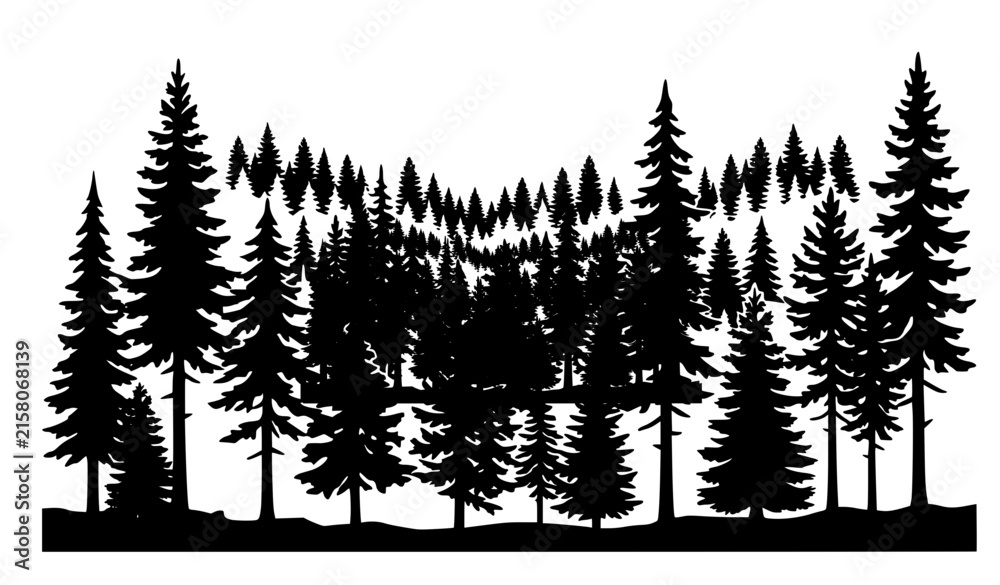 Obraz premium Black pine tree silhouette forest landscape isolated on white background