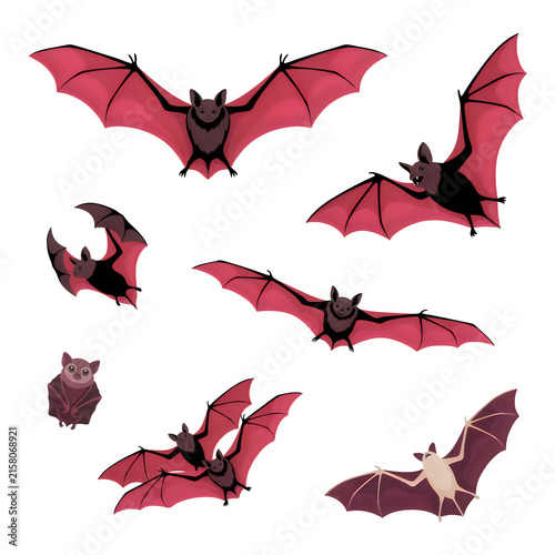 Flying mammals with red wings in diverse poses during twilight isolated on transparent background