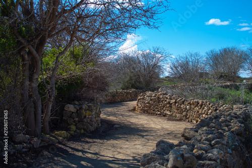 Archaeological site and park of Nea Paphos on Cyprus island.