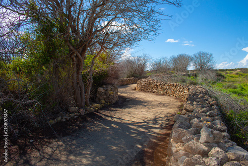 Archaeological site and park of Nea Paphos on Cyprus island.