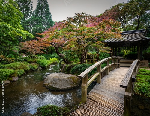 serene garden with a tranquil stream and a wooden bridge
