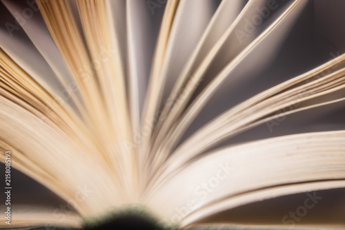 Open book with white pages, soft lighting
